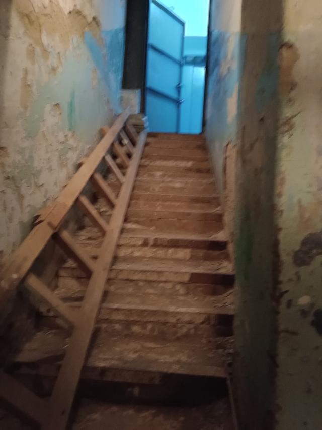 Лот 4032654